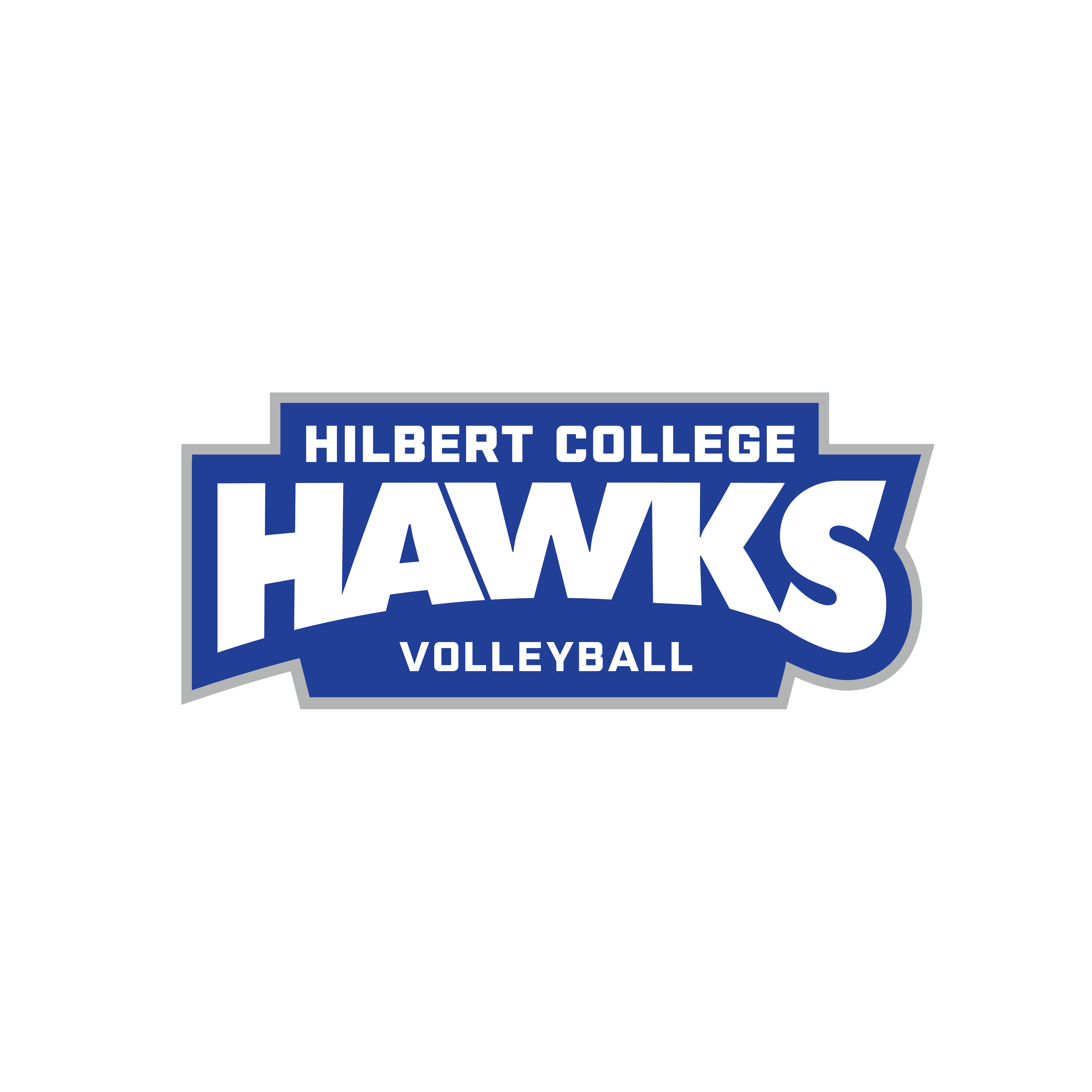 Hilbert Trimatch Volleyball