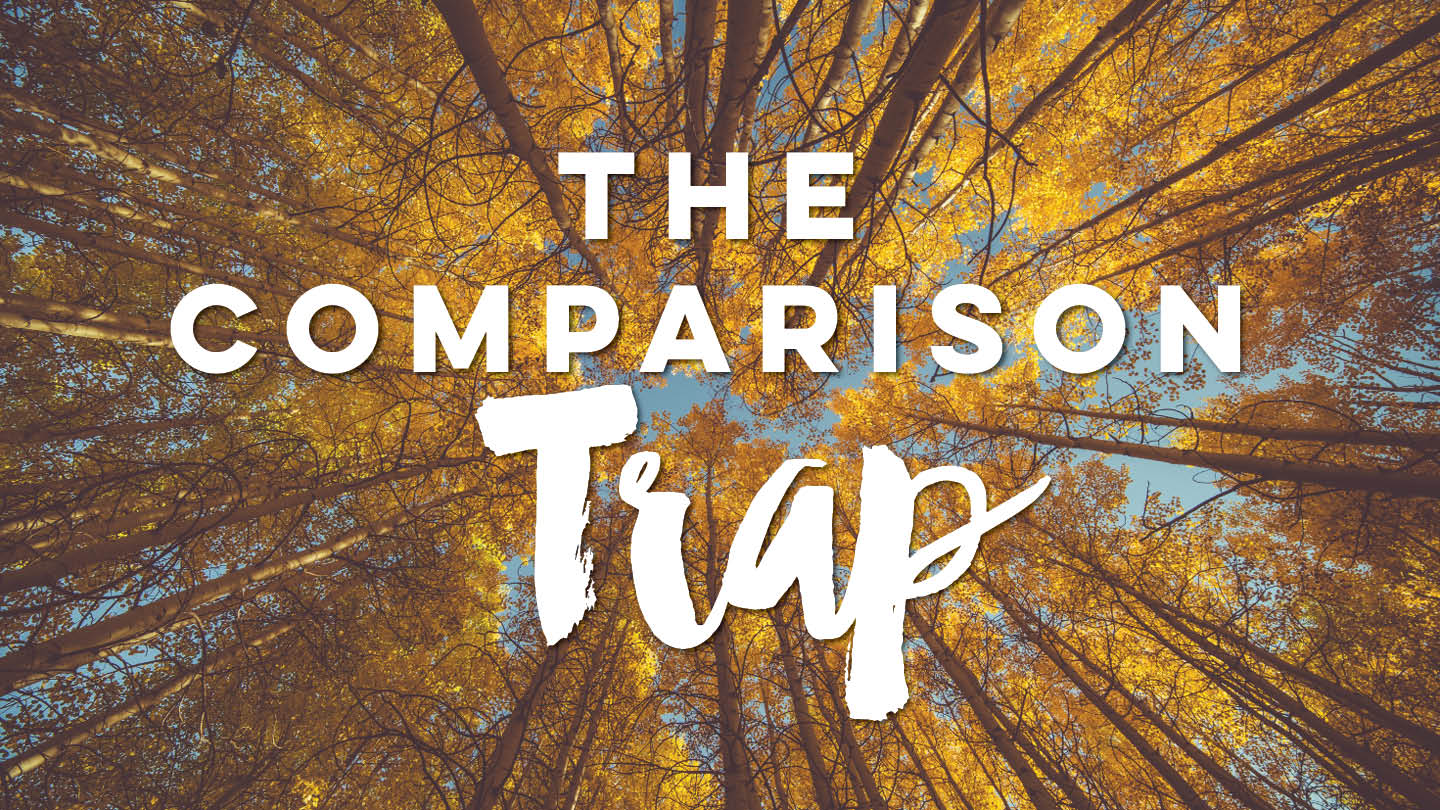 The Comparison Trap Image
