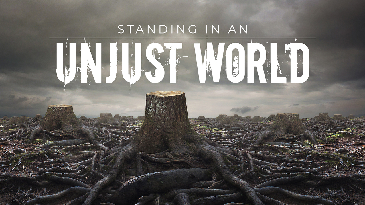 Standing in an Unjust World Image