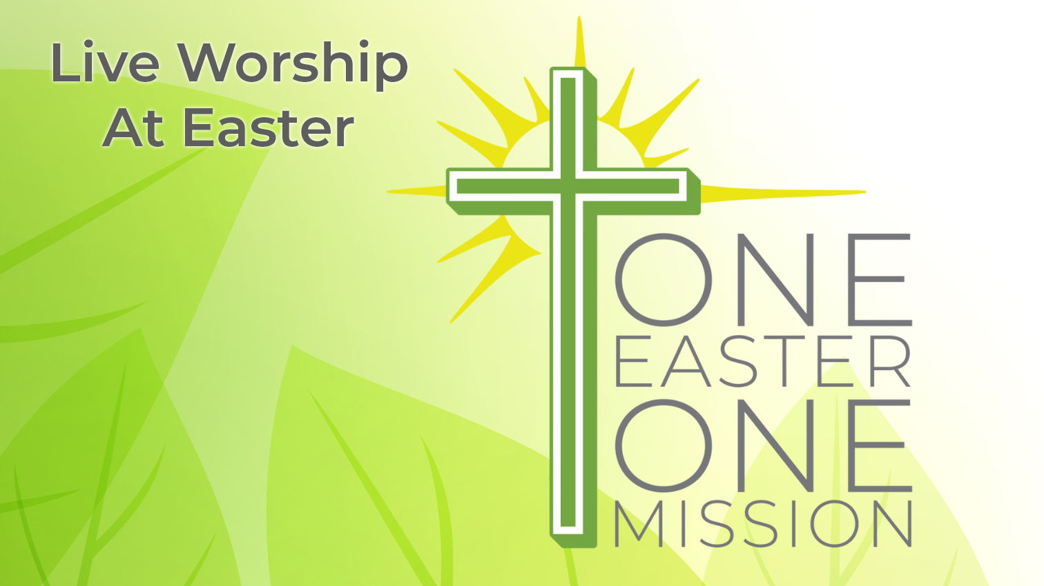 All broadcasts for Easter Lutheran Church Eagan, Minnesota