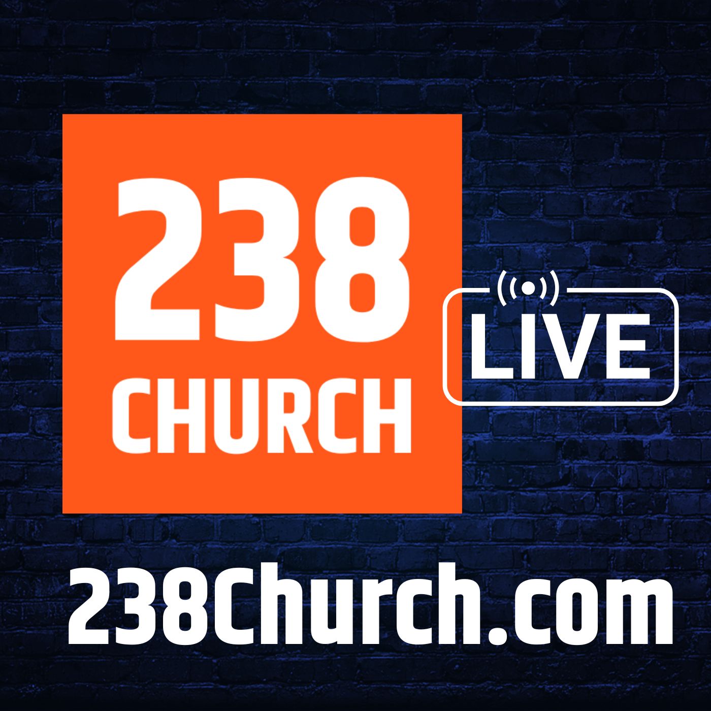 238 Church Live