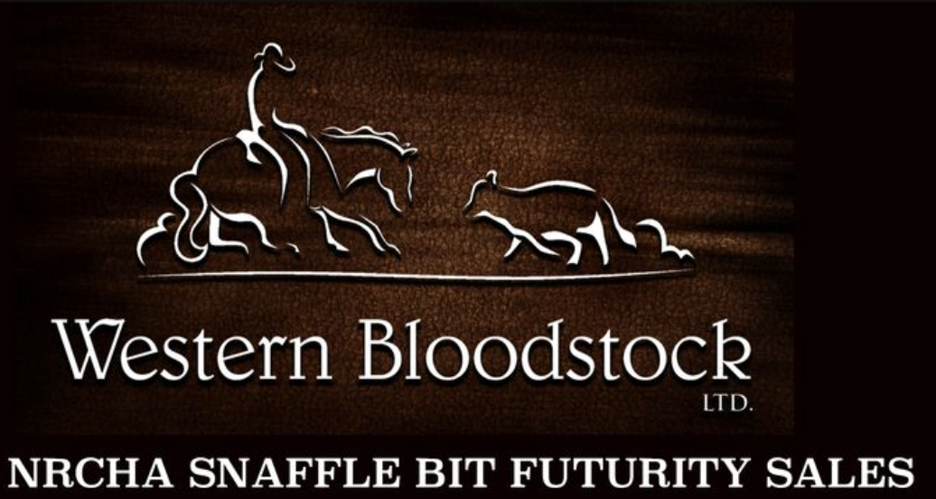2024 Western Bloodstock NRCHA Snaffle Bit Futurity Sales