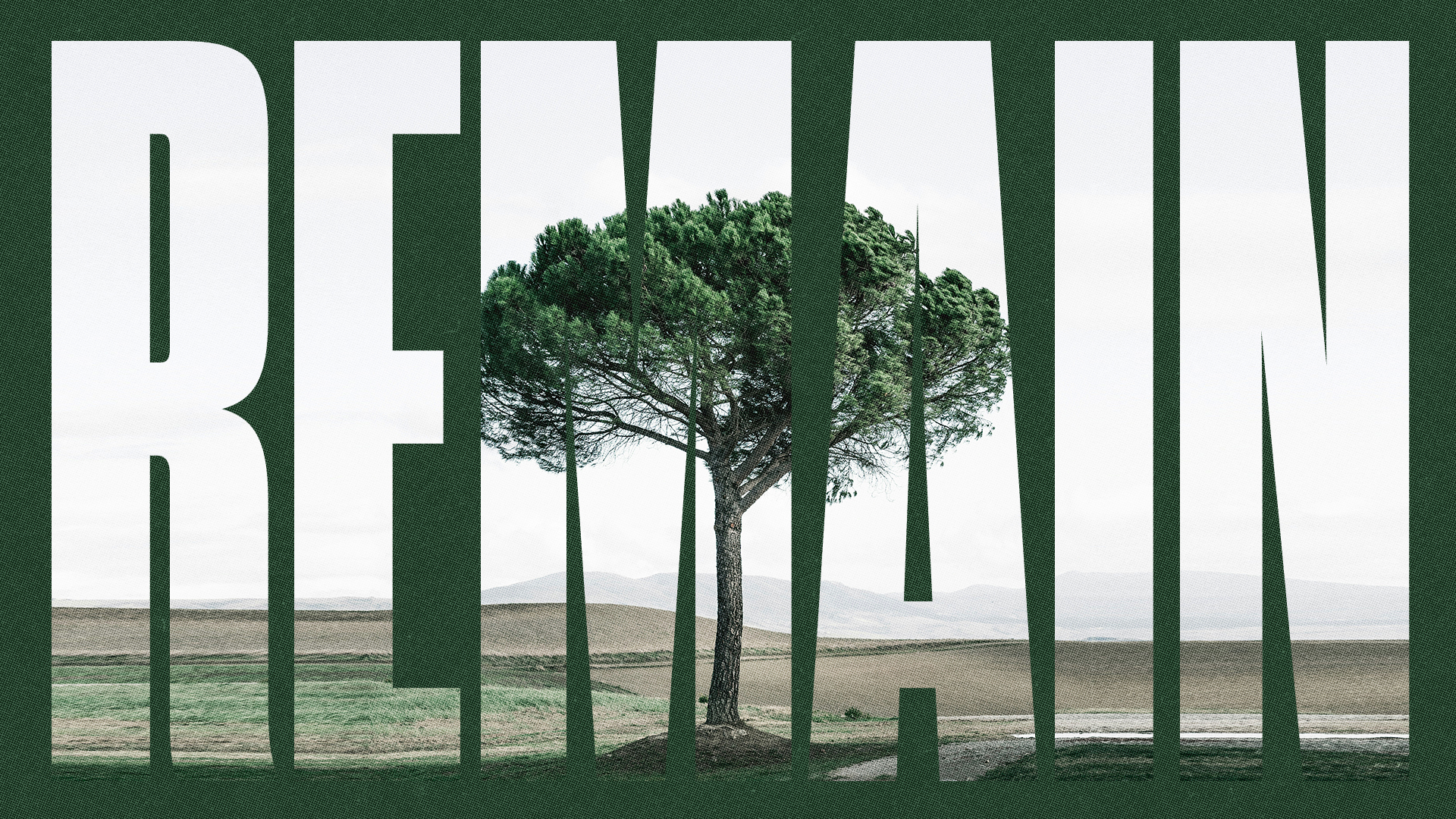 Remain