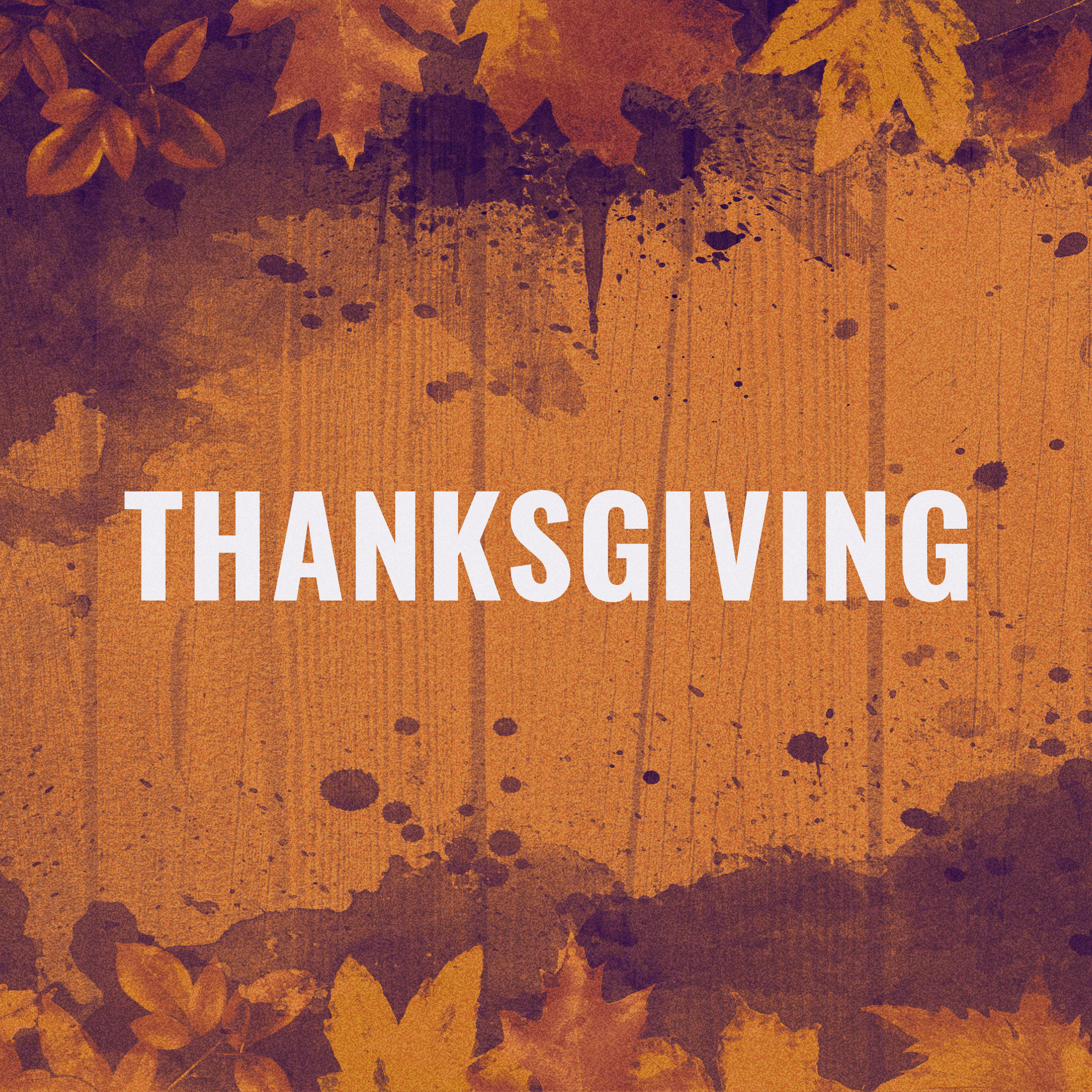 What We Have To Be Thankful For This Year episode artwork