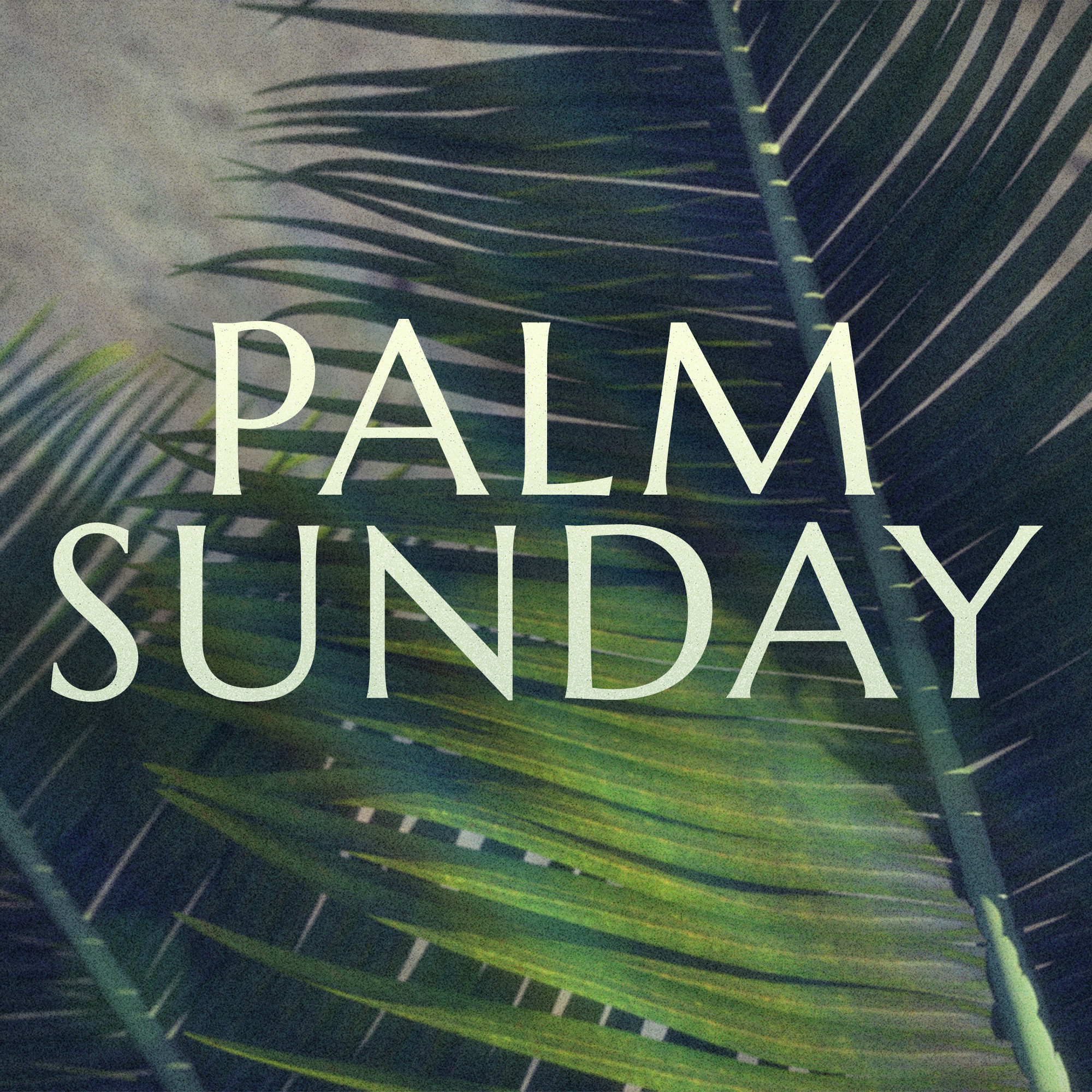 Palm Sunday (FMC) episode artwork