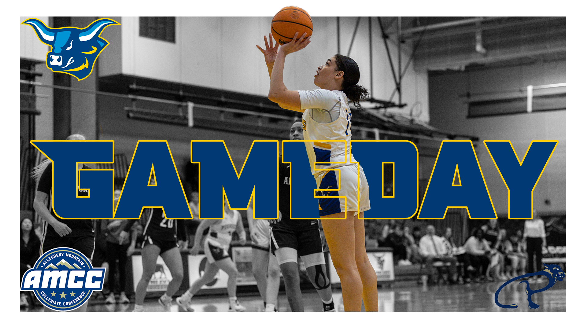 WBB vs Pitt Bradford