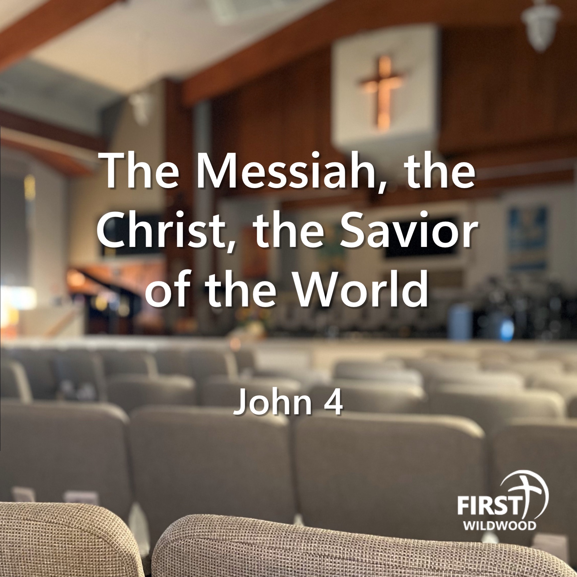 The Messiah, the Christ, the Savior of the World episode artwork