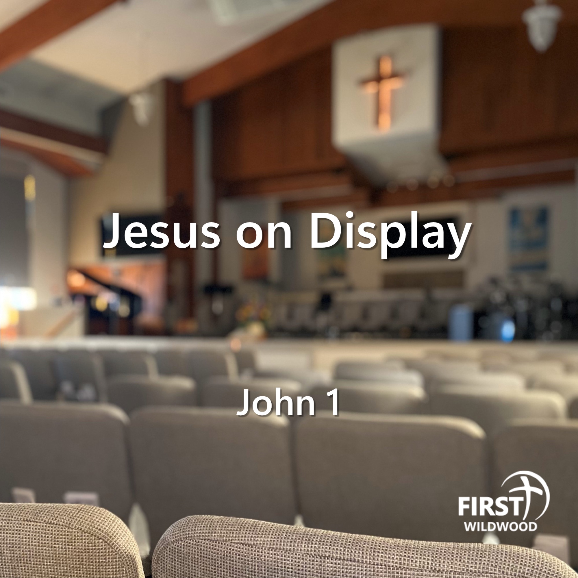 Jesus on Display episode artwork