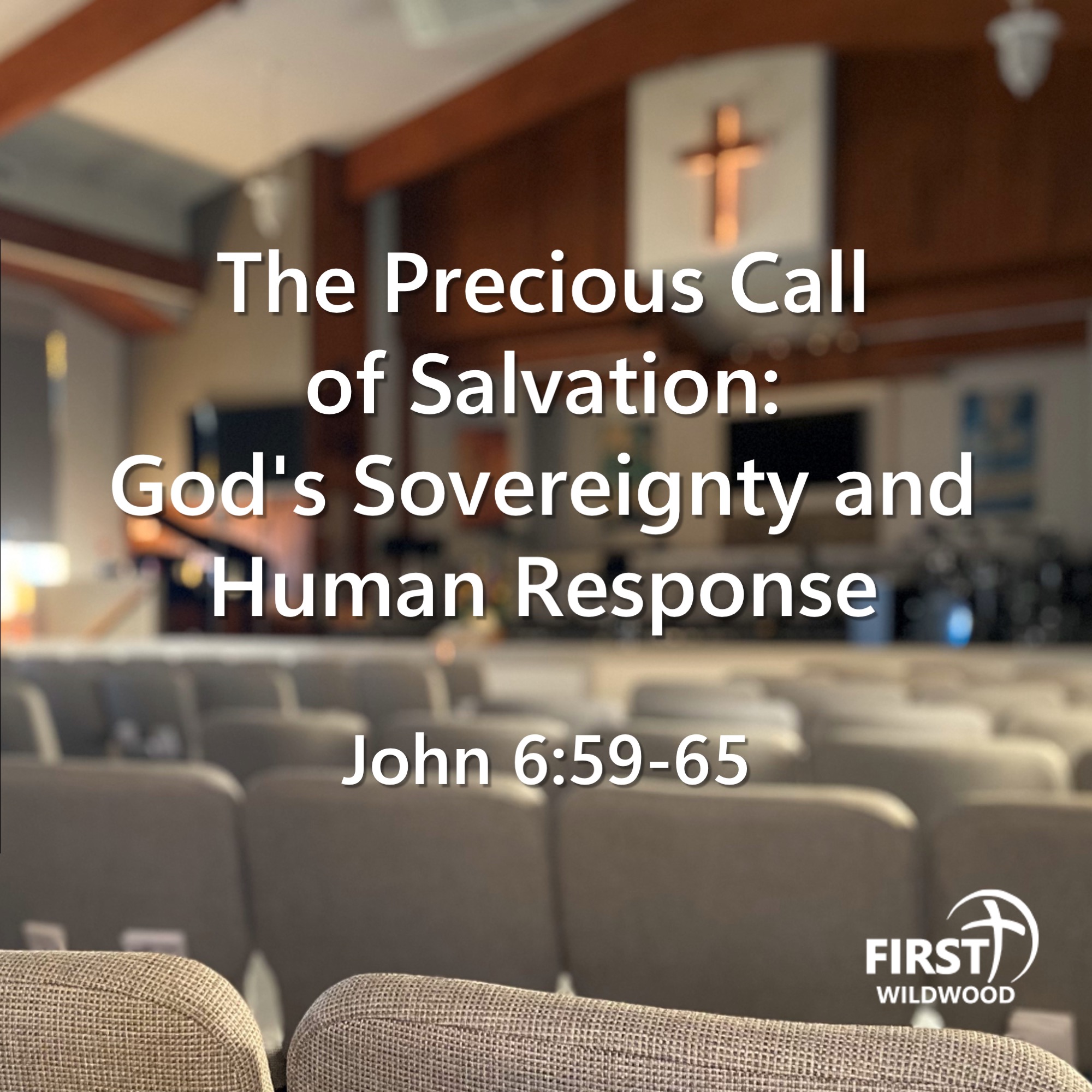 The Precious Call of Salvation: God's Sovereignty and Human Response episode artwork