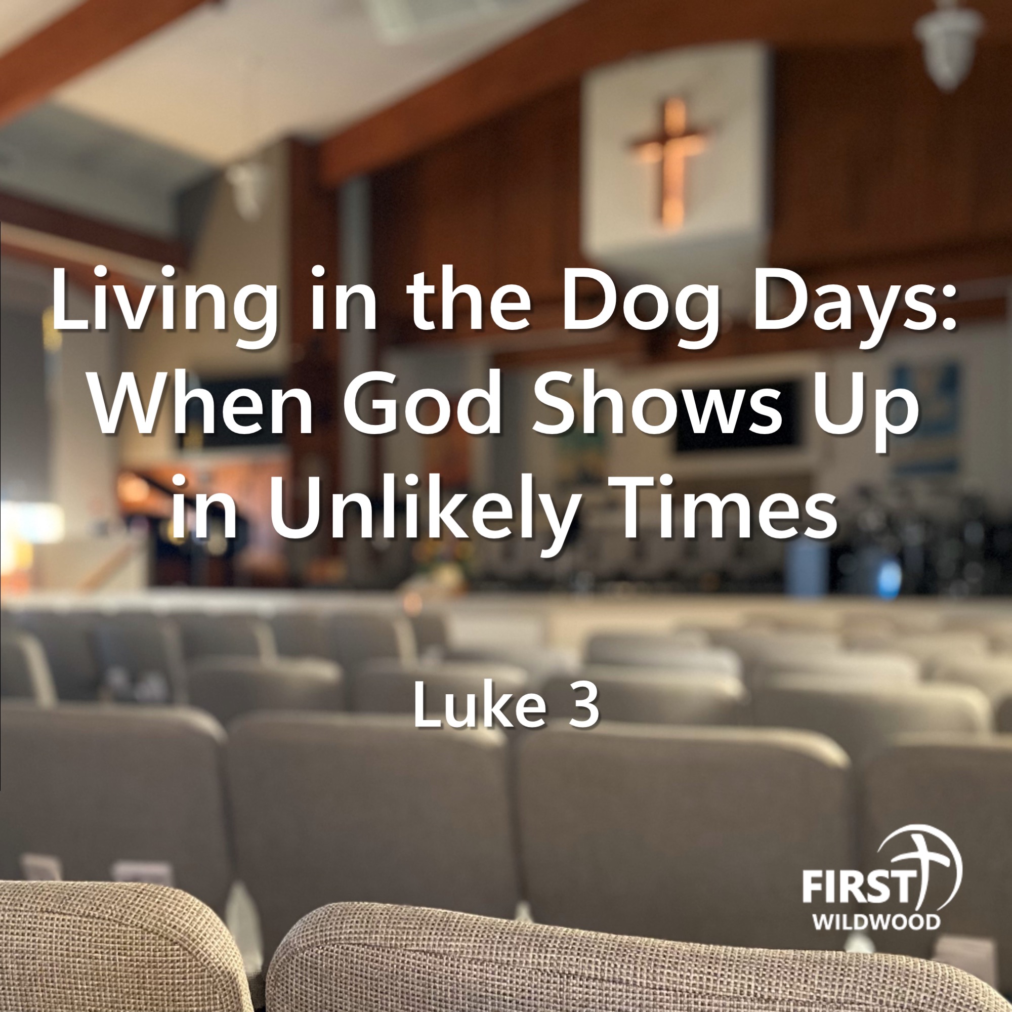 Living in the Dog Days: When God Shows Up in Unlikely Times episode artwork