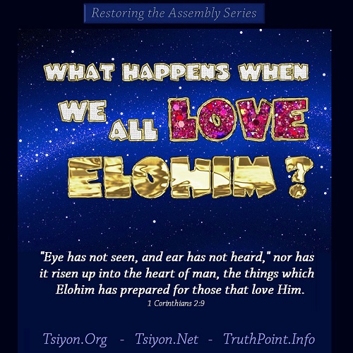What Happens When we all LOVE Elohim?