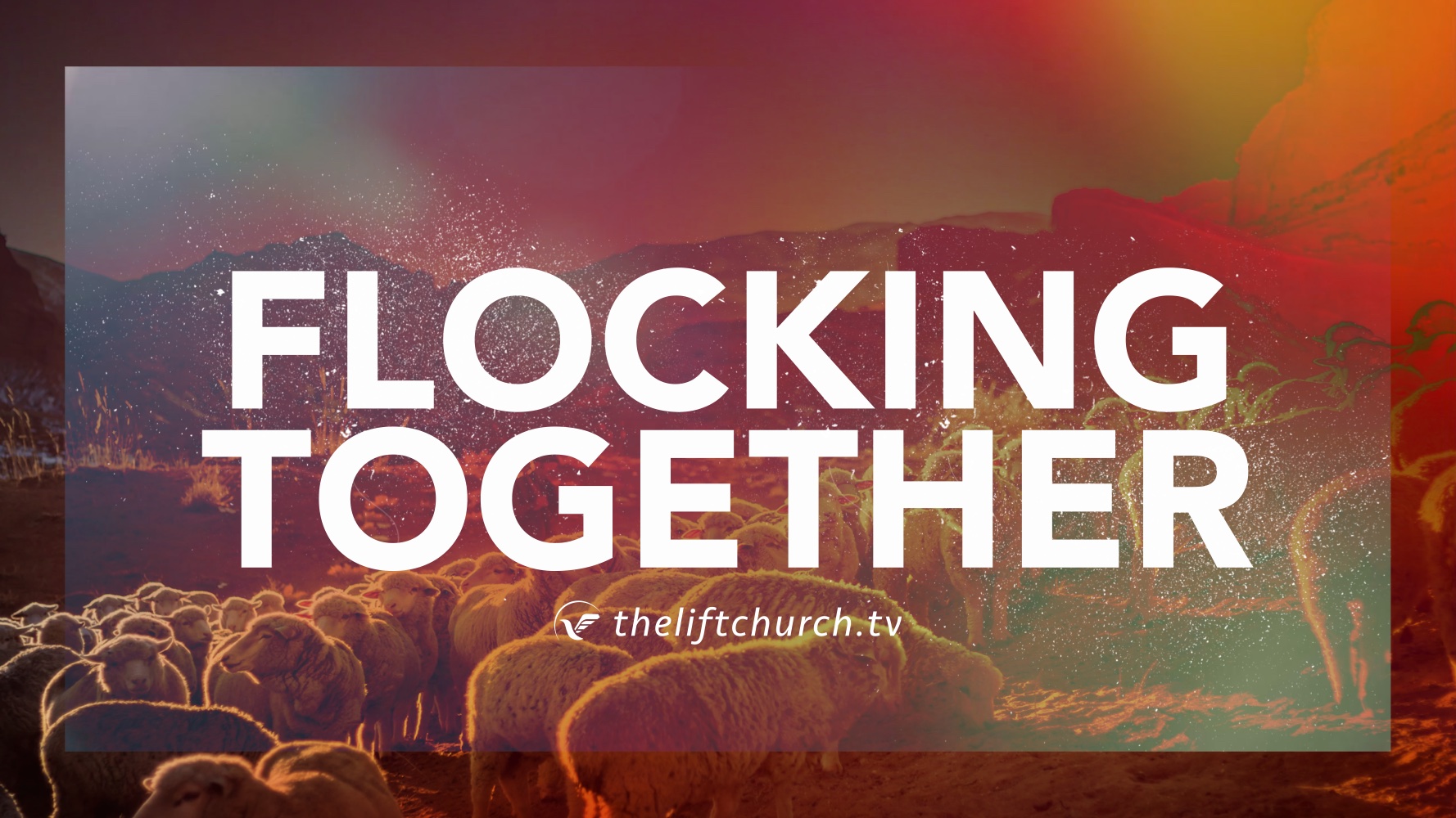 Flocking Together Caleb Buck