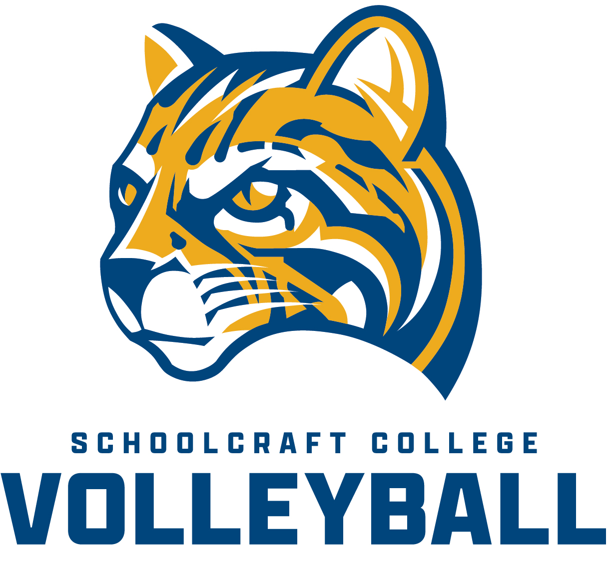 Schoolcraft Volleyball